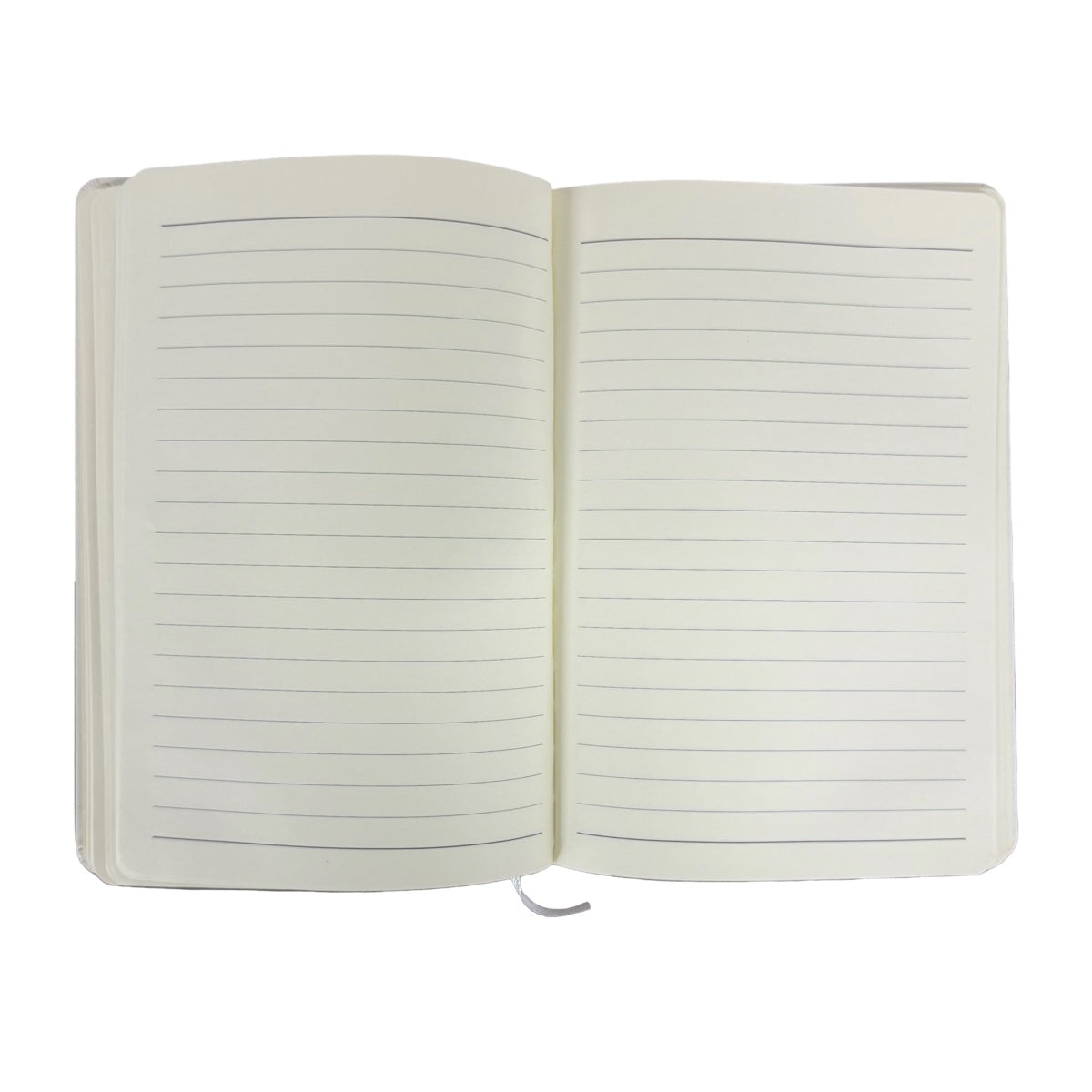 Set 4 Libretas Tapa Dura Dino T Rex