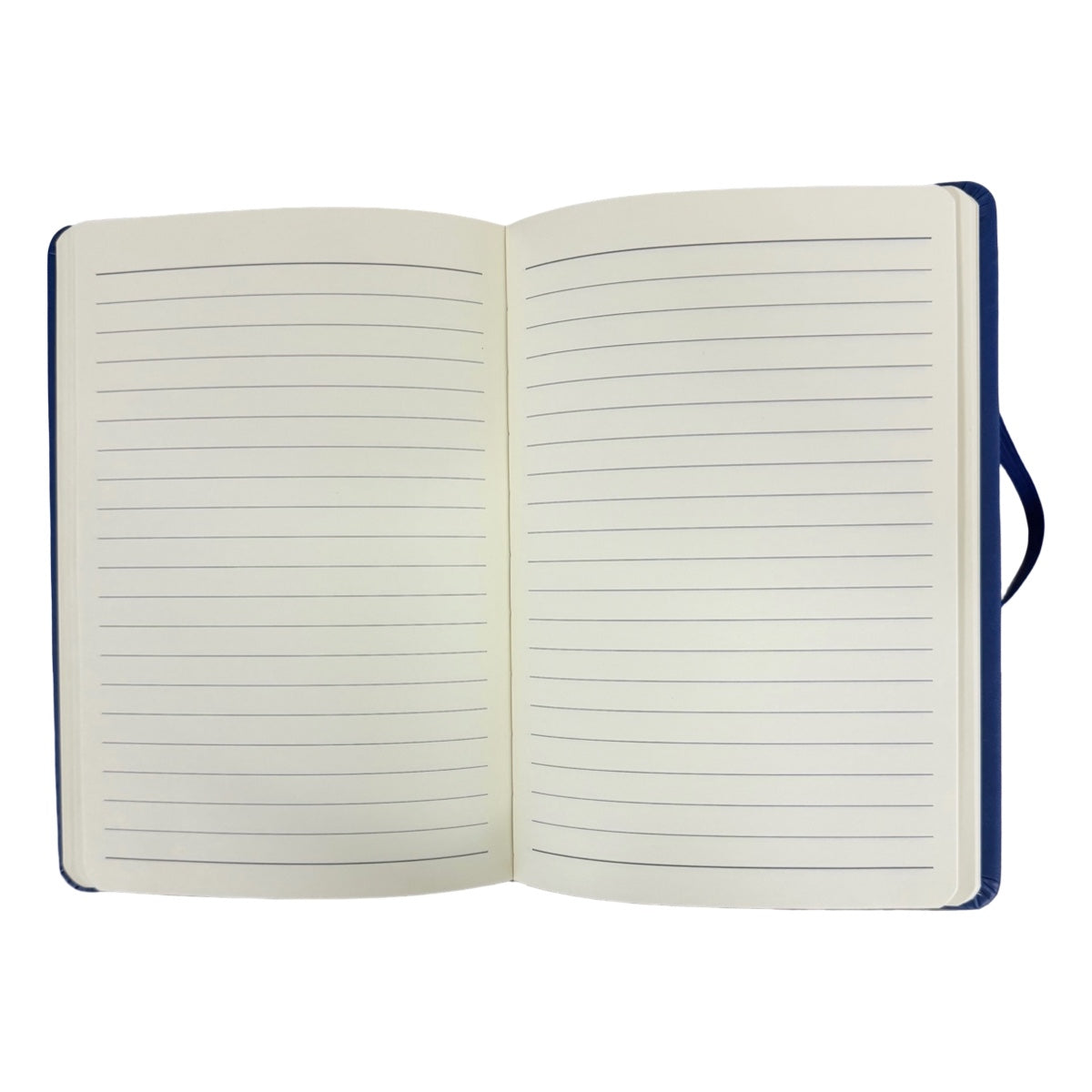 Set 4 Libretas Tapa Dura Dino T Rex