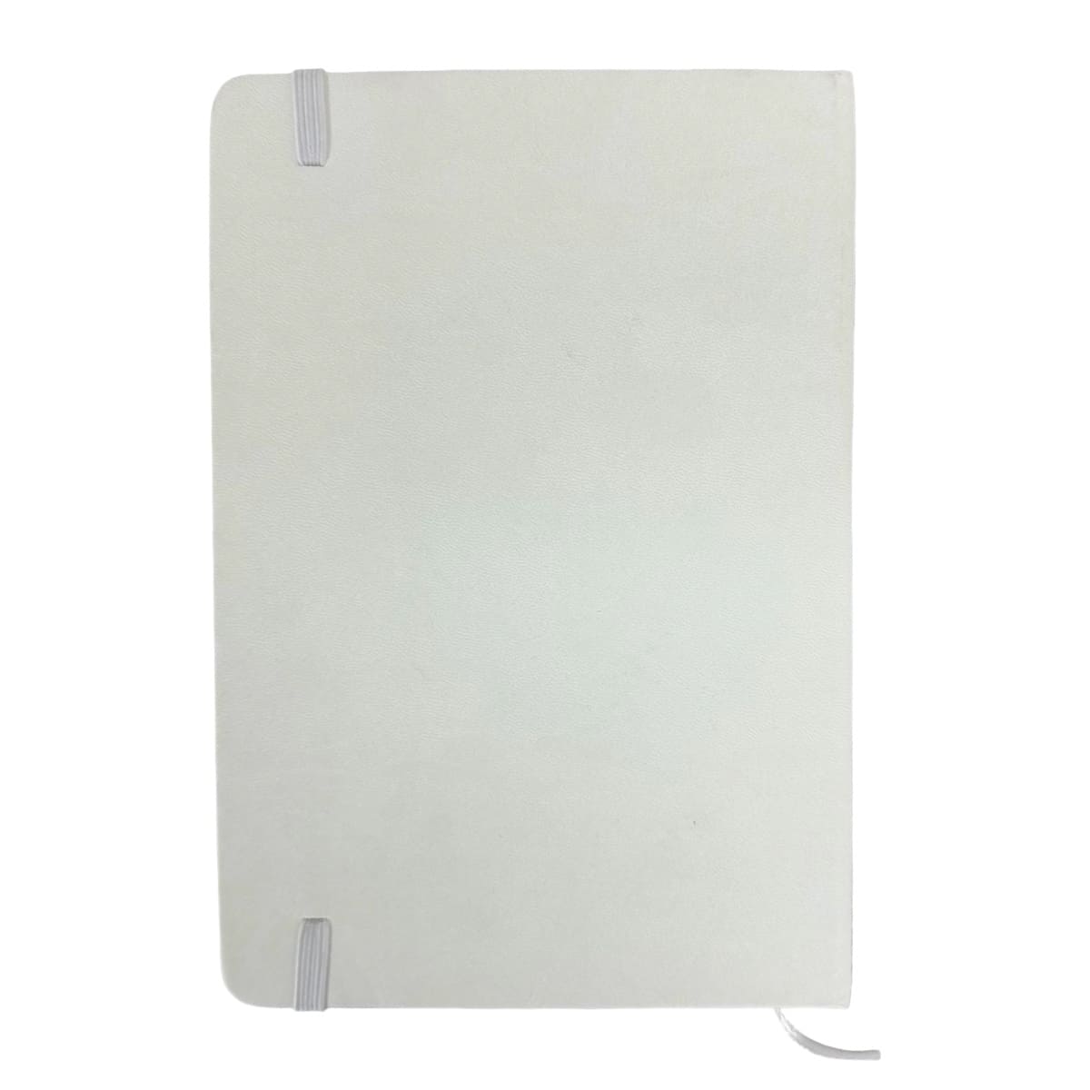 Set 4 Libretas Tapa Dura Dino T Rex